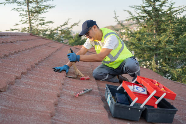 Best Roof Gutter Cleaning  in Haverhill, FL